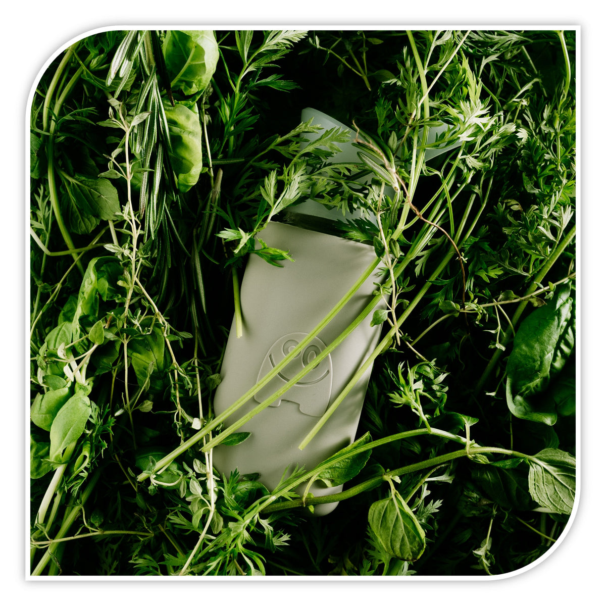 beVIVID Flasche 'London'